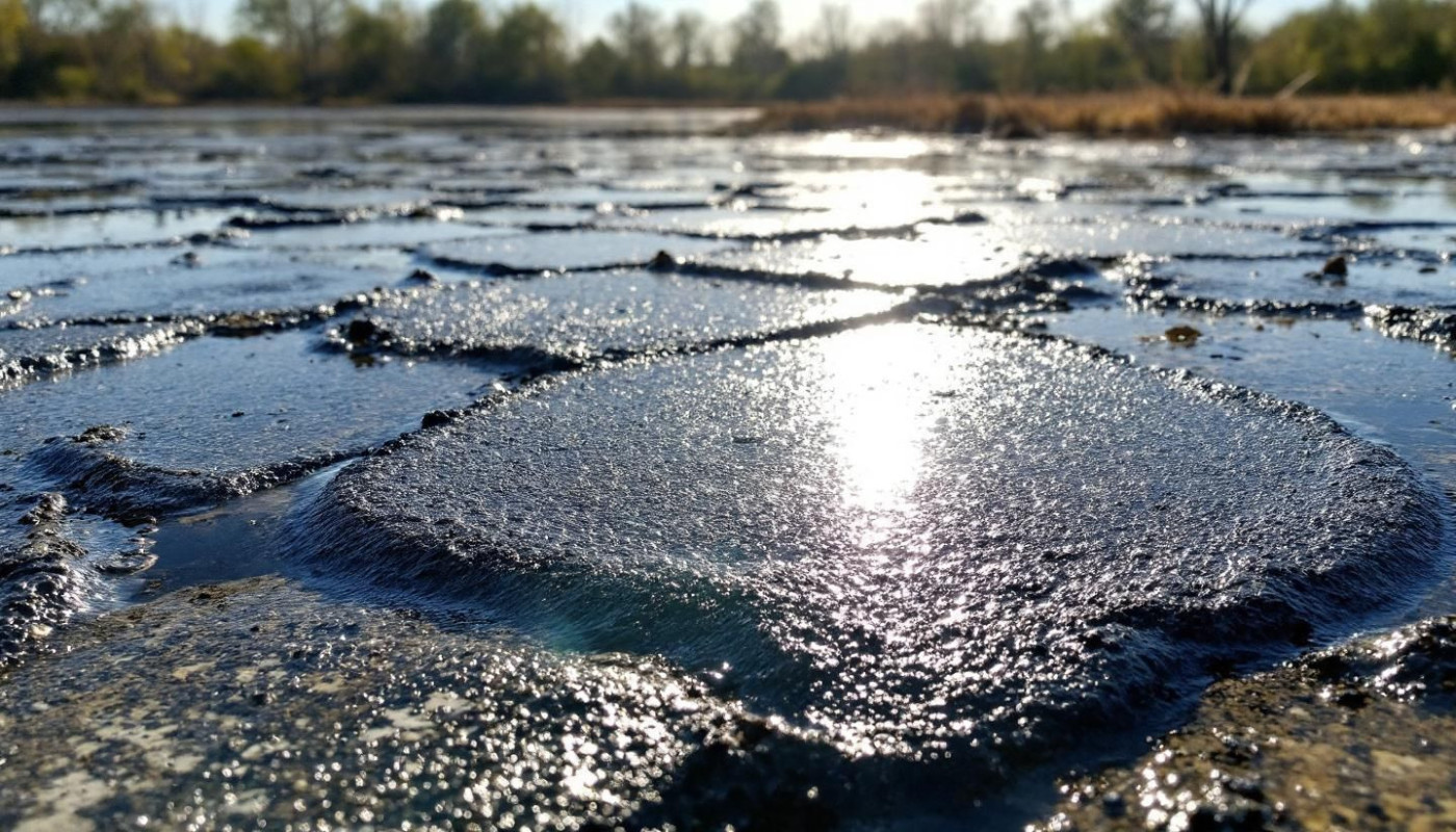 Les avantages environnementaux de l'utilisation des absorbants hydrocarbures